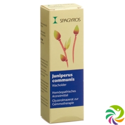 Spagyros Gemmo Juniperus Commun Glyc Maz D 3 30ml