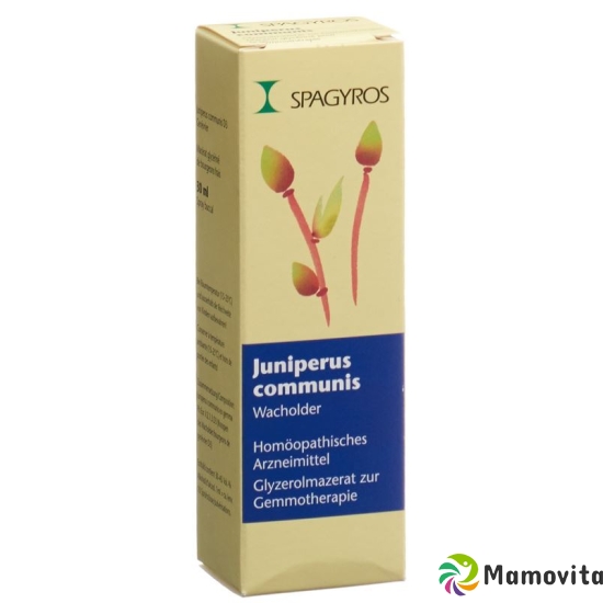 Spagyros Gemmo Juniperus Commun Glyc Maz D 3 30ml buy online