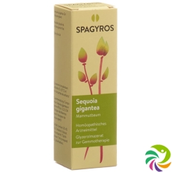 Spagyros Gemmo Sequoia Gigant Glyc Maz D 4 30ml