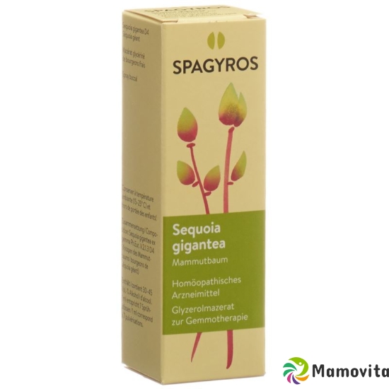 Spagyros Gemmo Sequoia Gigant Glyc Maz D 4 30ml buy online