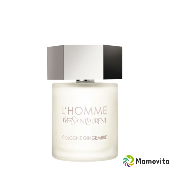 Ysl L'homme Eau de Cologne Spray 60ml buy online