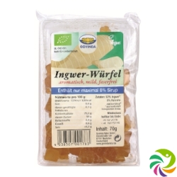 Govinda Ingwer Würfel Bio 70g