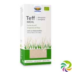 Govinda Teff Mehl Bio Box 450g