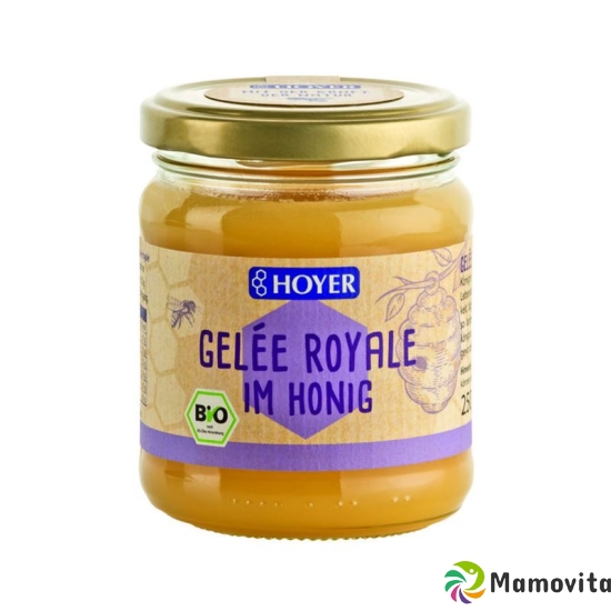 Hoyer Gelee Royal im Honig Bio Glas 250g buy online