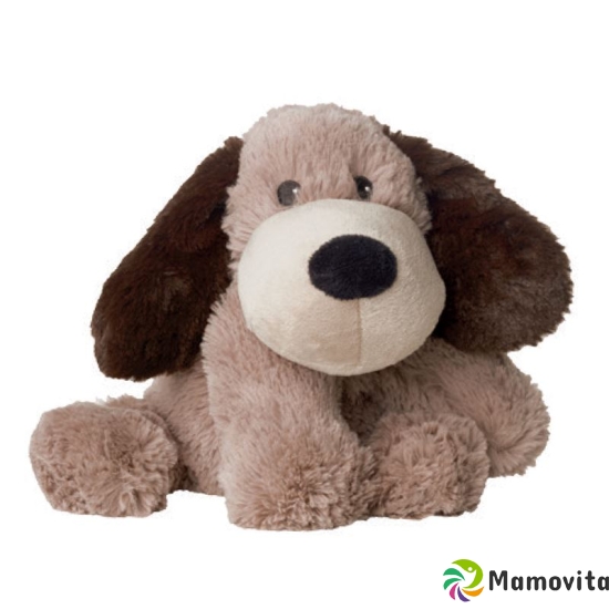 Beddy Bear Wärme-Stofftier Hund Gary Lavendel buy online