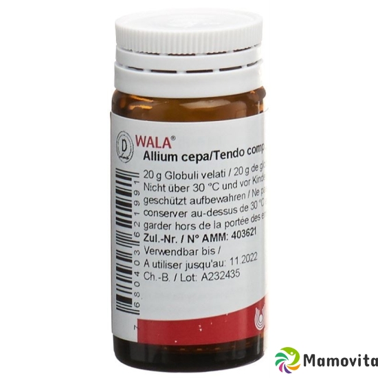 Wala Allium Cepa/tendo Comp Globuli Flasche 20g buy online