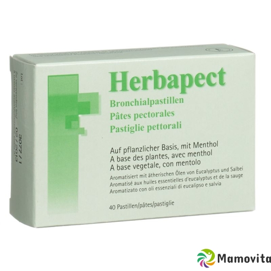 Herbapect Bronchialpastillen 40 Stück buy online