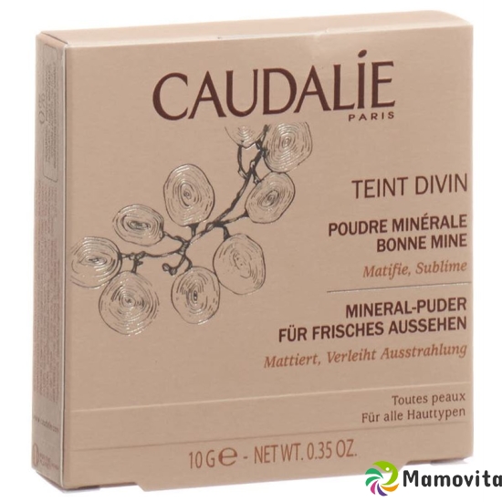 Caudalie Solaires Poudre Divine 10g buy online