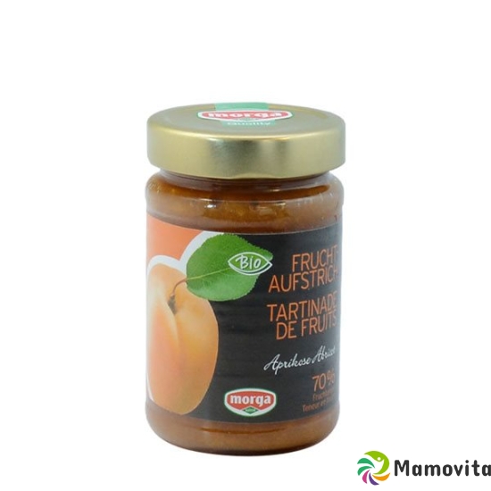 Morga Fruchtaufstrich 70% Aprikosen Bio 350g buy online