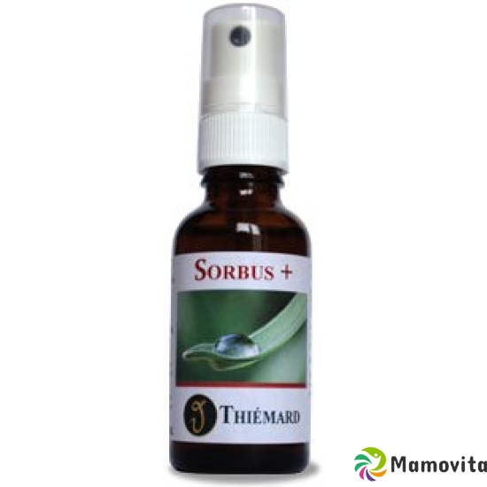 Thiemard Sorbus+ Spray 30ml buy online