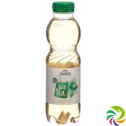 Holderhof Ice Tea Alpine Bio Petflasche 5dl