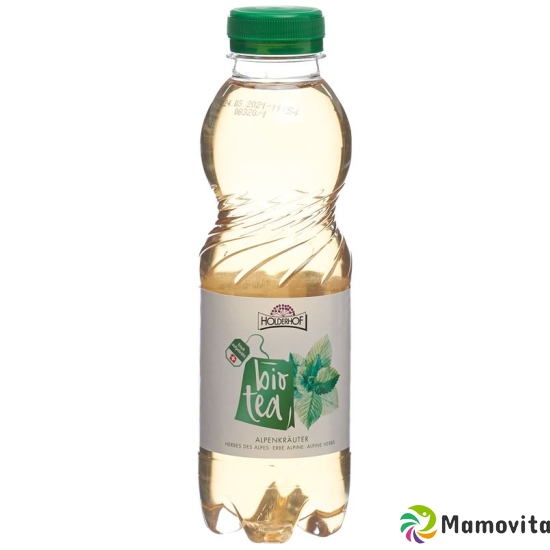 Holderhof Ice Tea Alpine Bio Petflasche 5dl buy online