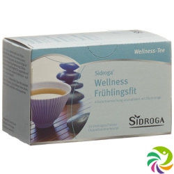 Sidroga Wellness Frühlingsfit Beutel 20 Stück