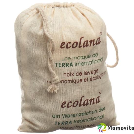 Terra Ecolana Waschnüsse 500g buy online