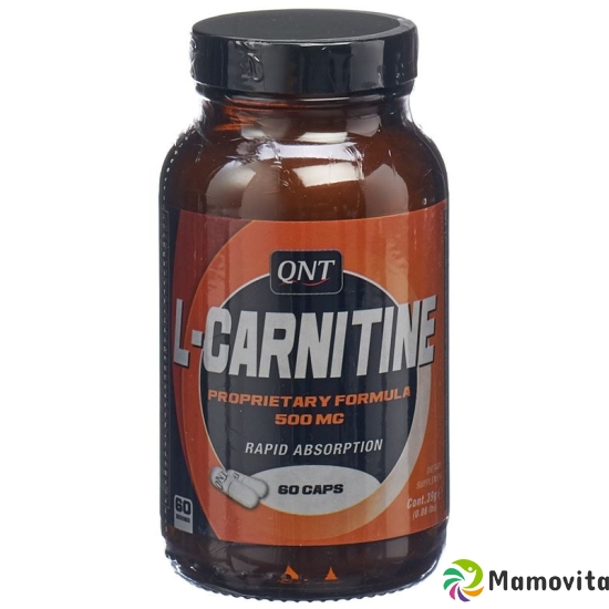 Qnt L-carnitine Kapseln 500mg 60 Stück buy online