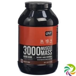 Qnt Weight Gain 3000 Chocolat 1300g