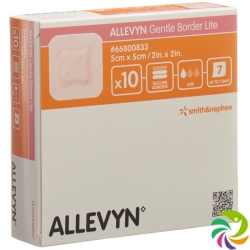 Allevyn Gentle Border Lite Wundverband 5x5cm 10 Stück