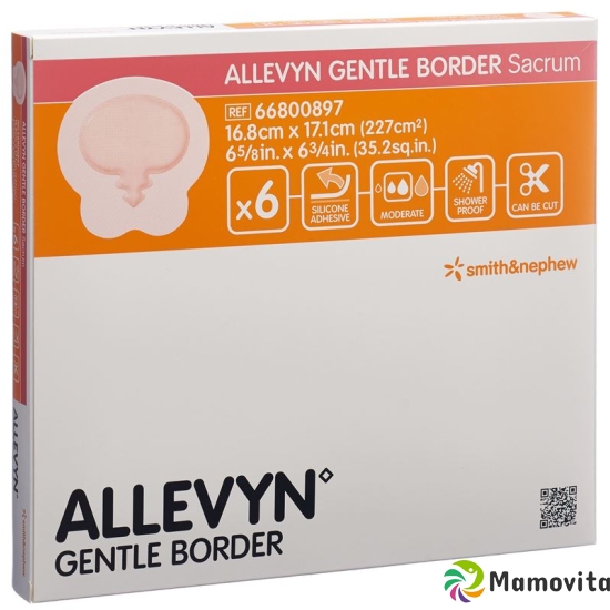 Allevyn Gentle Border Sacrum 16.8x17.1cm 6 Stück buy online