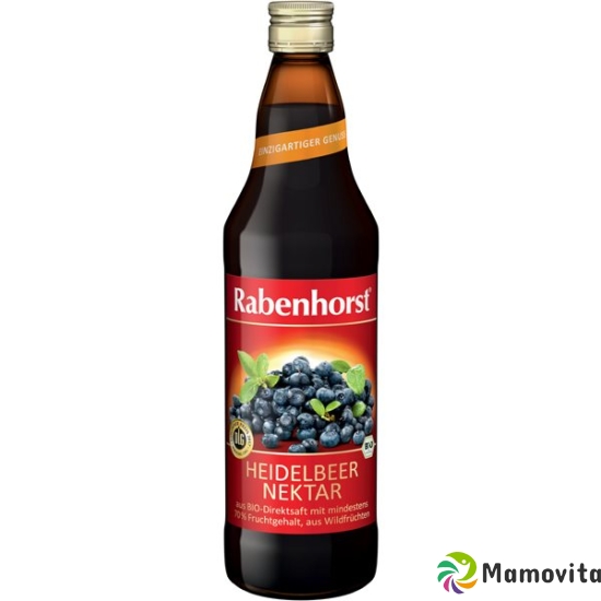 Rabenhorst blueberry nectar Bio 750 ml buy online