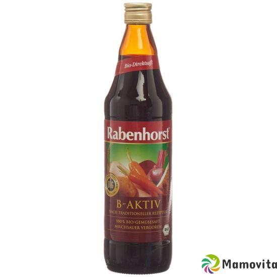 Rabenhorst B-Aktiv Breuss Organic Vegetable Juice 750 ml buy online