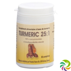 Turmeric 25:1 Tabletten 250mg 60 Stück