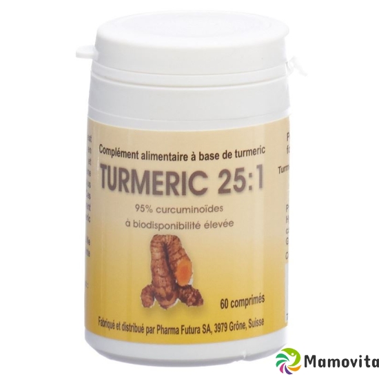 Turmeric 25:1 Tabletten 250mg 60 Stück buy online