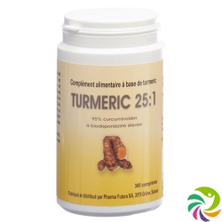 Turmeric 25:1 Tabletten 250mg 300 Stück