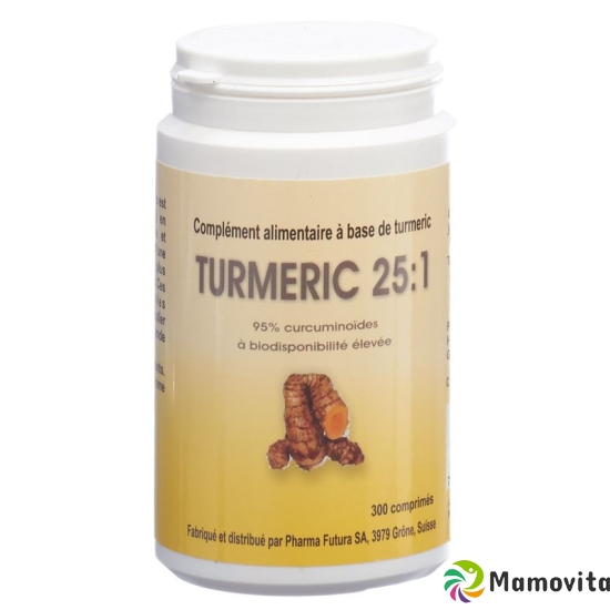 Turmeric 25:1 Tabletten 250mg 300 Stück buy online