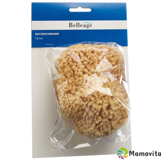 Belleage natural sponge 13cm buy online