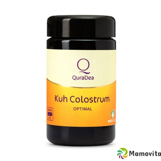 Quradea Kuh Colostrum Opt Kapseln Bio-dy Unpa 120 Stück buy online