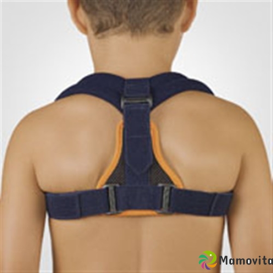 Bort Clavicula-Bandage Kinder Blau buy online