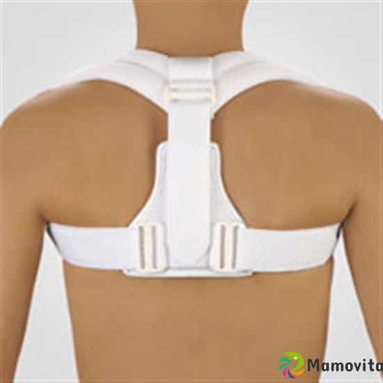 Bort Clavicle Bandage L White buy online