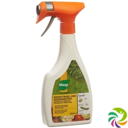 Kendo Insektizid Spray 500ml