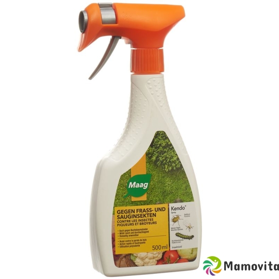 Kendo Insektizid Spray 500ml buy online