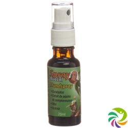 Bioligo Pere Michel Spray Buccal Acero Eucal 20ml