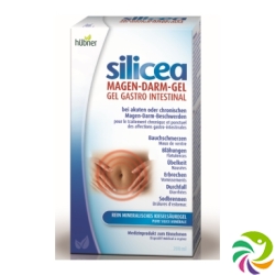 Hübner Silicea Magen Darm Gel 200ml