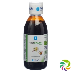 Nutergia Ergydraine Flasche 250ml