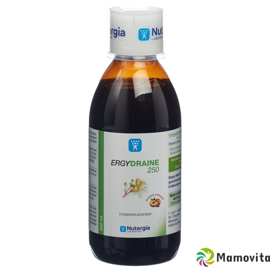 Nutergia Ergydraine Flasche 250ml buy online