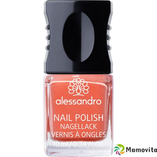 Alessan Nagellack ohne Verp 81 Peachy C 10ml buy online