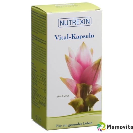 Nutrexin Vital-Kapseln 120 Stück buy online