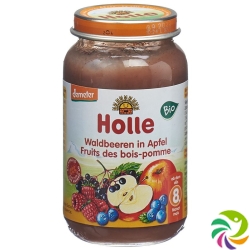 Holle Forest Berries in Apple from the 8th month Organic 220g