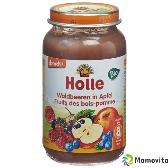 Holle Forest Berries in Apple from the 8th month Organic 220g buy online