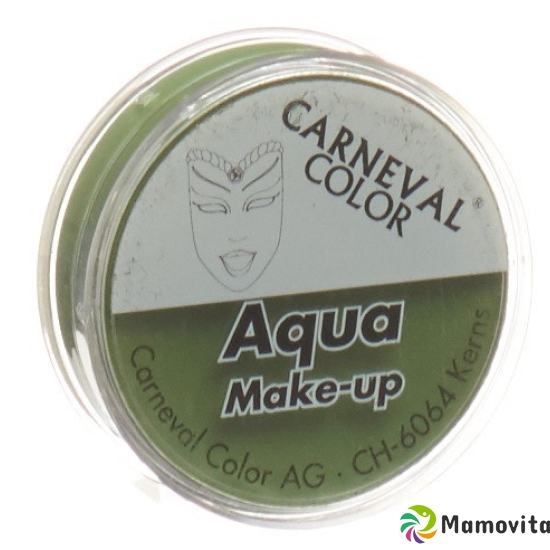 Carneval Color Aqua Make Up Grün Dose 10ml buy online