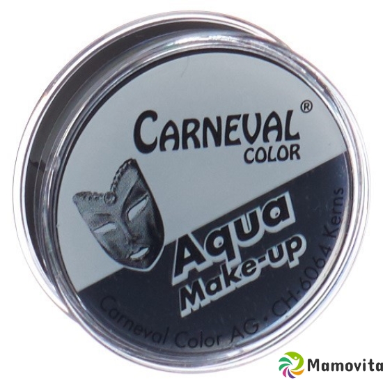 Carneval Color Aqua Make Up Schwarz Dose 10ml buy online