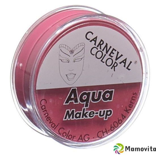 Carneval Color Aqua Make Up Pink Dose 10ml buy online