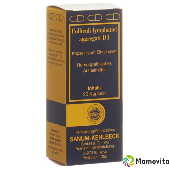 Sanum Folliculi Lymphatici Aggrega Kapseln D 4 20 Stück buy online