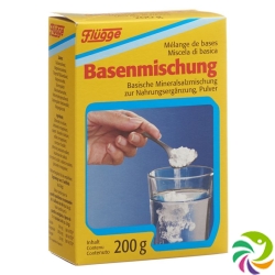 Flügge Basenmischung Pulver 200g