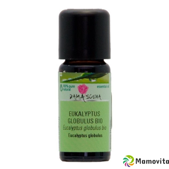 Damascena Eukalyptus Globulus Ätherisches Öl Bio 10ml buy online