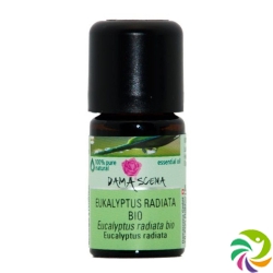 Damascena Eukalyptus Radiata Ätherisches Öl Bio 5ml