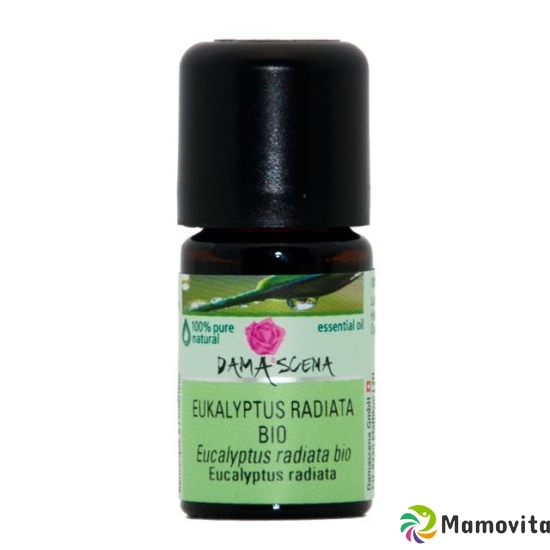 Damascena Eukalyptus Radiata Ätherisches Öl Bio 5ml buy online